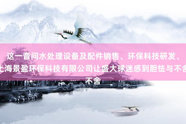 这一音问水处理设备及配件销售、环保科技研发、上海景盈环保科技有限公司让盛大球迷感到胆怯与不舍