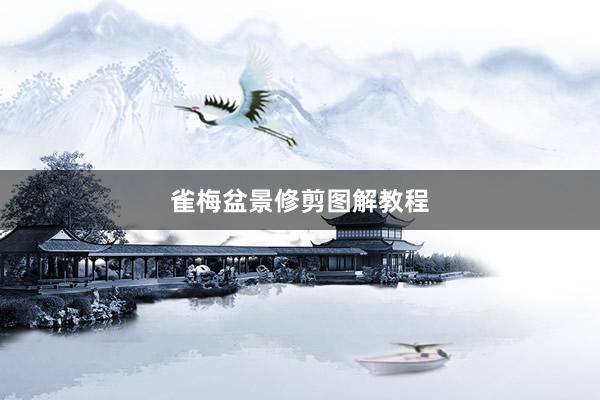 雀梅盆景修剪图解教程
