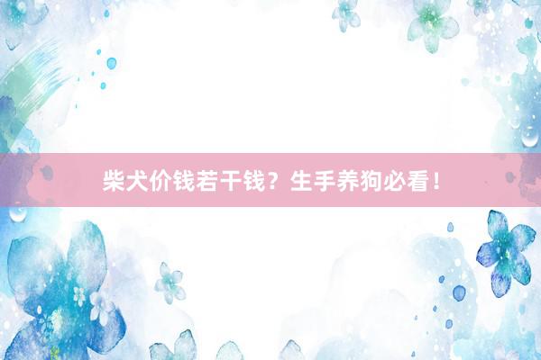 柴犬价钱若干钱？生手养狗必看！