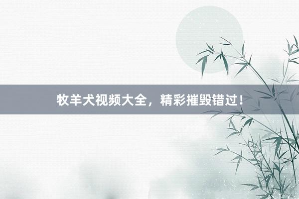 牧羊犬视频大全，精彩摧毁错过！