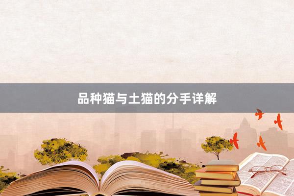 品种猫与土猫的分手详解